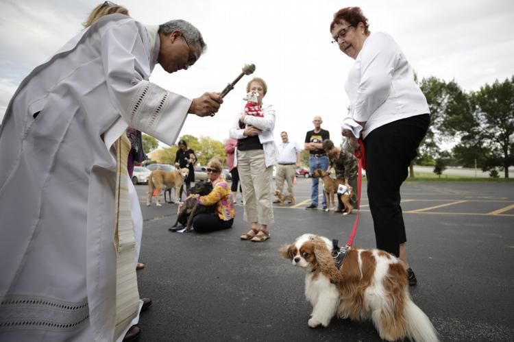 Dogs are blessed for the Feast of Saint Francis of Assisi